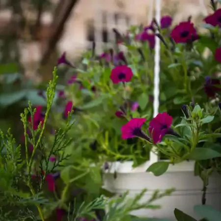 Appartamento Ivancica Ragusa