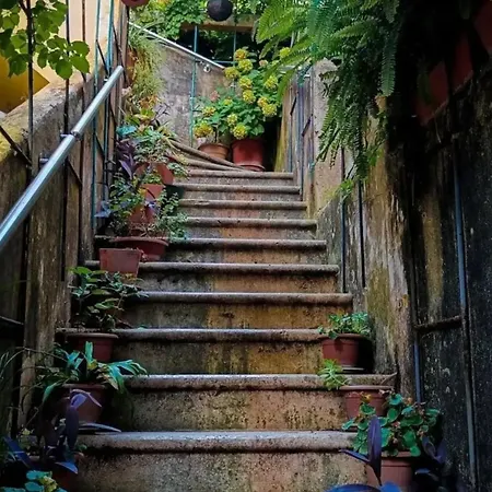 Ivancica * ドゥブロブニク