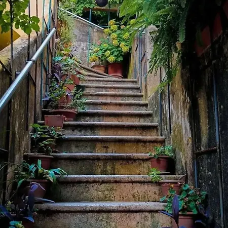 Ivancica * Dubrovnik