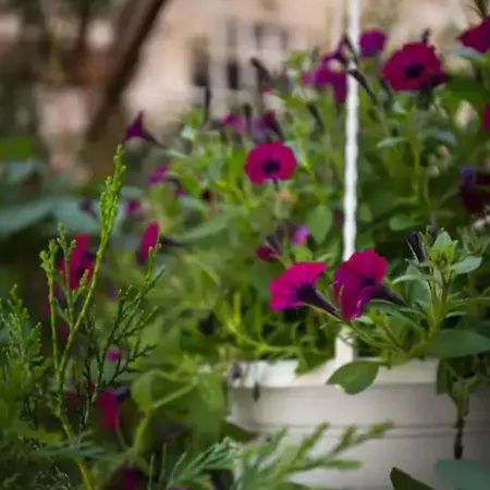 アパート Ivancica